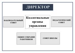 Коллегиальные органы управления:
– Наблюдательный совет;
– Общее собрание работников;
– Педагогический совет;
– Совет школы.
Единоличным исполнительным органом Учреждения является прошедший соответствующую аттестацию директор.
